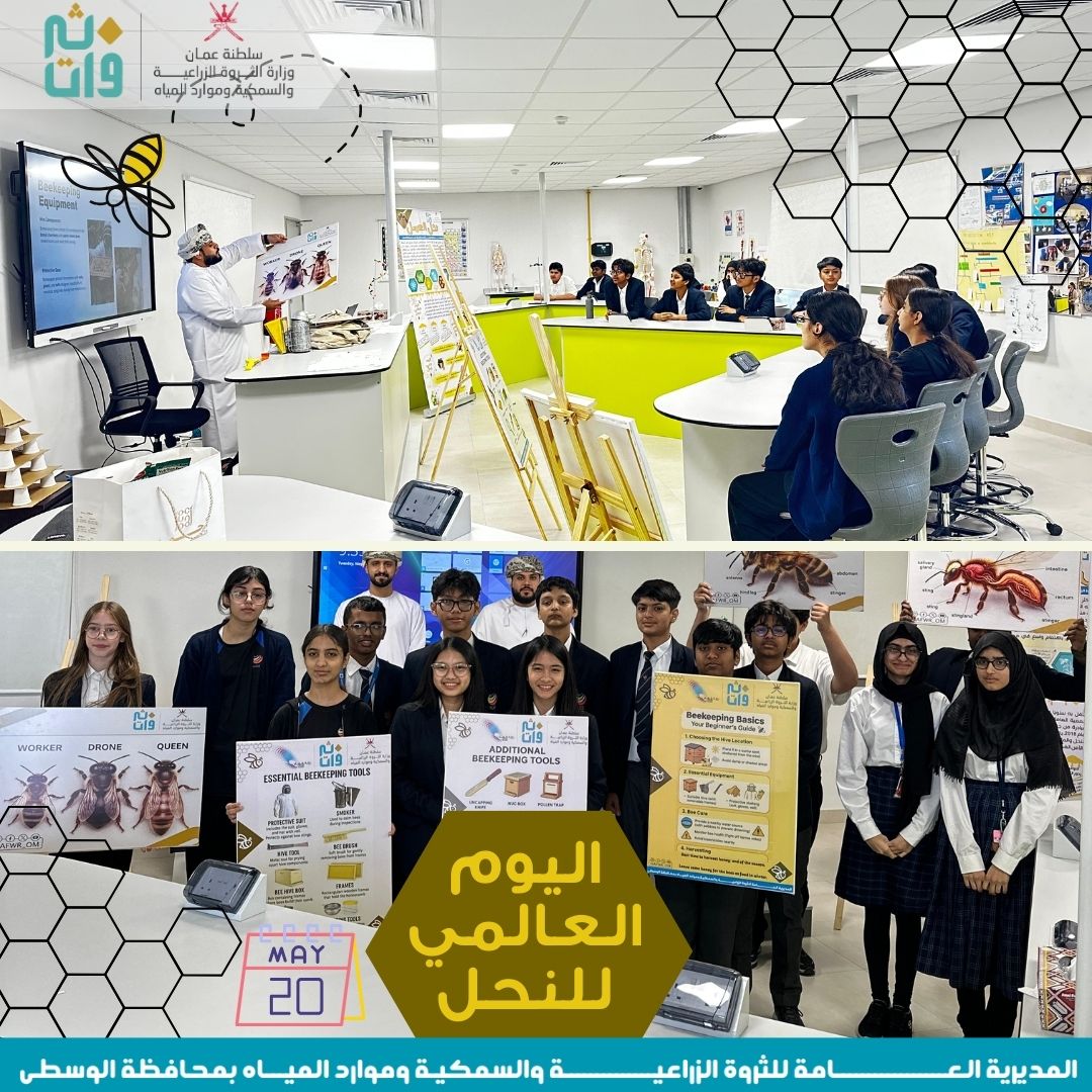 احتفالًا باليوم العالمي للنحل، والذي يصادف 20 مايو قدم المختصون بالمديرية العامة للثروة الزراعية والسمكية وموارد المياه ورشةً لطلبة المدارس في مدرسة السعد العالمية الخاصة بولاية الدقم.