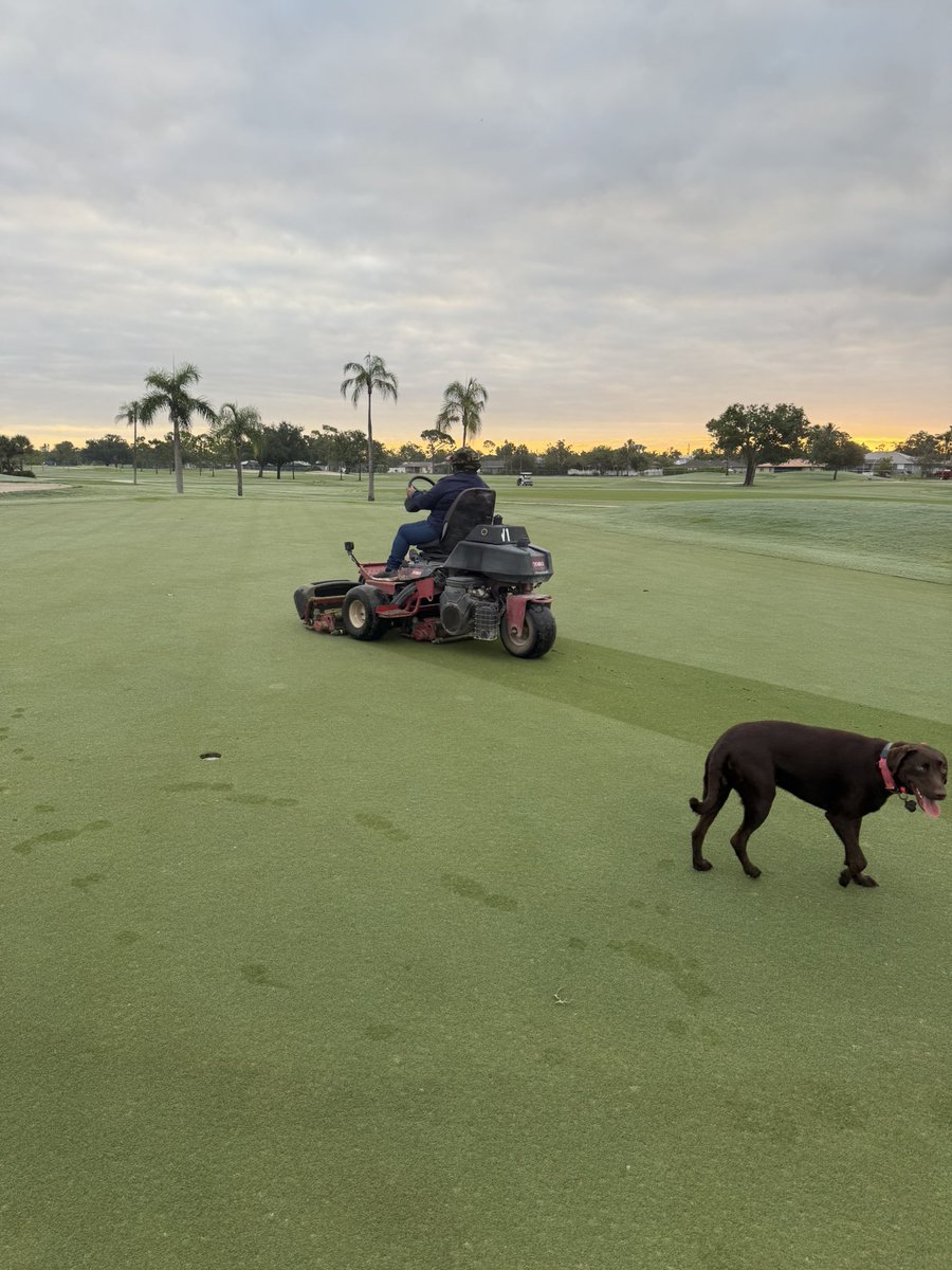 Dave Ferrin tweet media