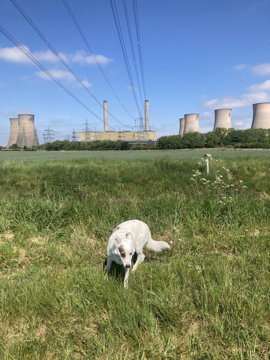Sad to see and hear 👎🏼.my old workplace getting ripped down..#westburtonpowerstation
