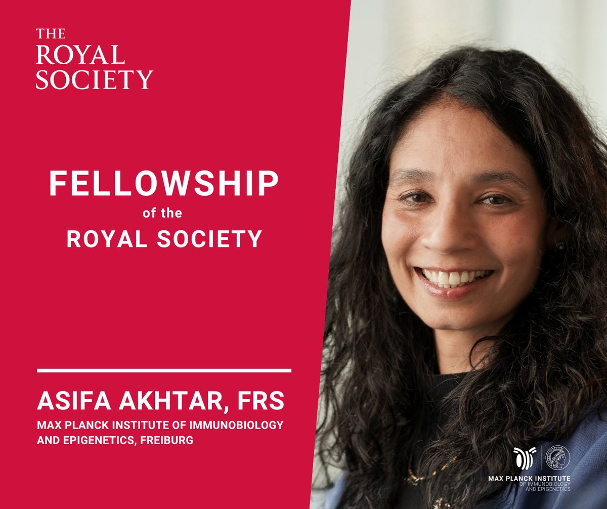 MPI of Immunobiology & Epigenetics (@mpi_ie) on Twitter photo Congratulations. ๐
The <a href="/royalsociety/">The Royal Society</a> has elected <a href="/AsifaAkhtar1/">Asifa Akhtar</a> as a Foreign Member in recognition of her contributions to advance the field of gene regulation.
The #Freiburg epigeneticist also serves as Vice President of <a href="/maxplanckpress/">Max Planck Society</a>
More: ie-freiburg.mpg.de/6039463/2025_0โฆ Congratulations. ๐
The <a href="/royalsociety/">The Royal Society</a> has elected <a href="/AsifaAkhtar1/">Asifa Akhtar</a> as a Foreign Member in recognition of her contributions to advance the field of gene regulation.
The #Freiburg epigeneticist also serves as Vice President of <a href="/maxplanckpress/">Max Planck Society</a>
More: ie-freiburg.mpg.de/6039463/2025_0โฆ