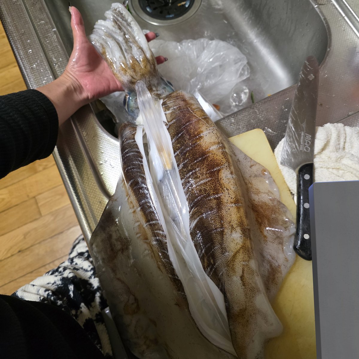 n_elfi_r's tweet image. エギング〜🦑
2.6kgやった🥺👏