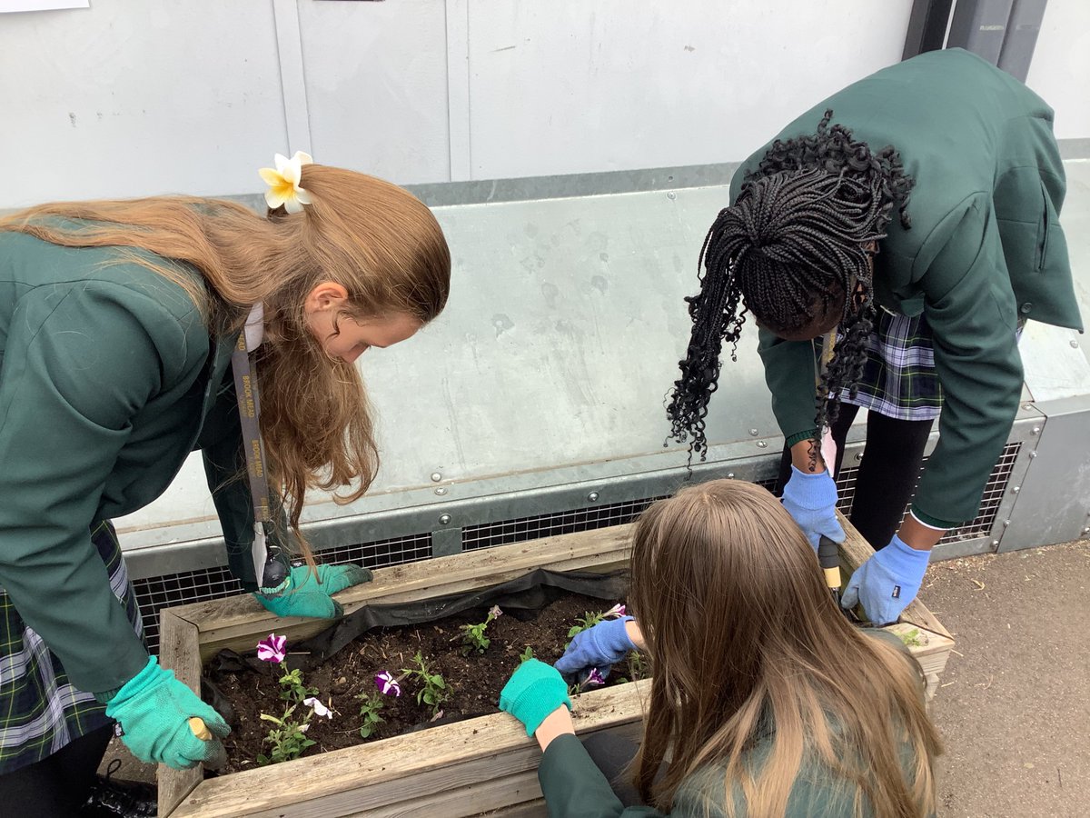 Mrs Peploe tweet media