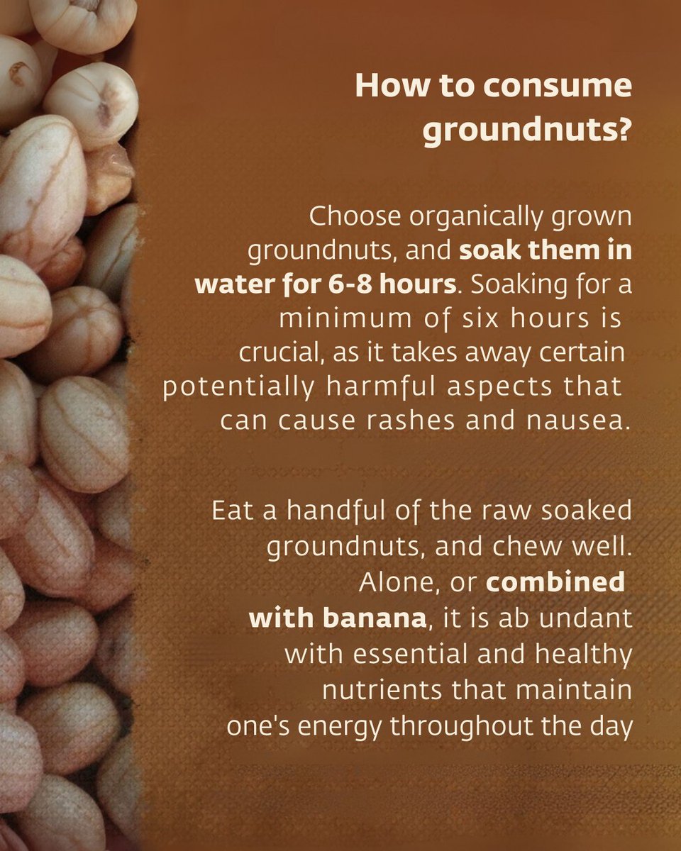 ishafoundation's tweet photo. Groundnut is an important part of a Yogic diet, and is considered to be a complete food by itself.

Read here how to consume it in a way that will boost your energy levels. https://t.co/z5uriPSsRI