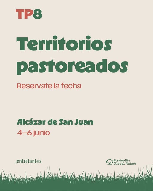 Ya está disponible el avance del programa de #TP8, la 8ª ed. de Territorios Pastoreados, el congreso de referencia sobre ganadería extensiva y pastoreo. ¿Te has inscrito?  

📅 4 - 6 de junio, Alcázar de San Juan
👉 Inscripción gratuita y programa: territoriospastoreados.com