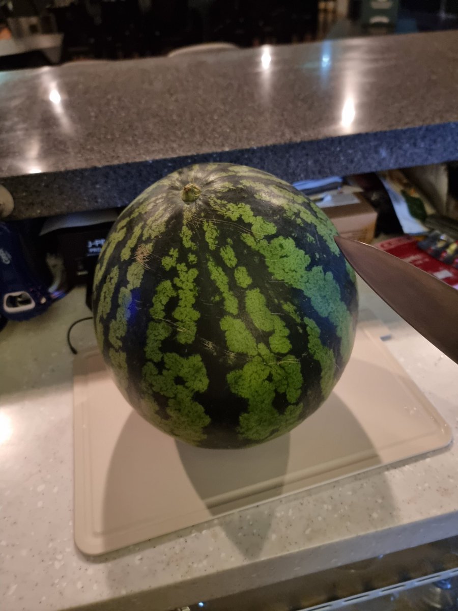 오늘 오면
수박썰어드림~스 컴투🍉🍉🍉