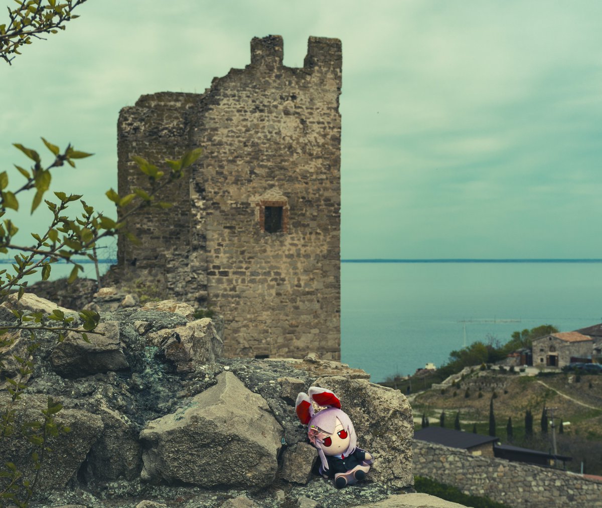 IvanFumograph tweet media