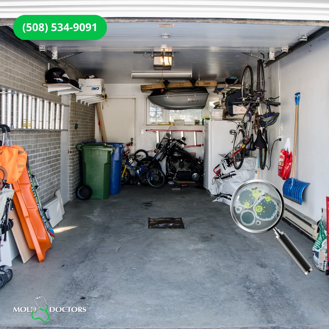 MoldDoctors's tweet image. Mold can hide in places you least expect.🤔 Let us handle the hard work and give your home the thorough clean it deserves.

☎️ (508) 534-9091
📩 Info@Molddoctors.Net
🌐 molddoctors.net/request-a-quot…

#MoldControl #CapeCodMoldRemoval