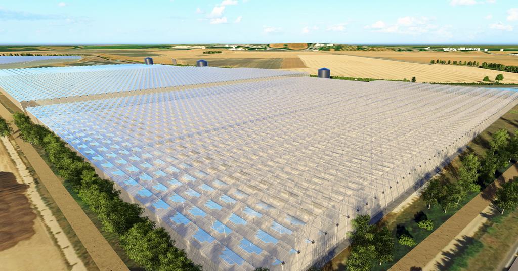 Thanet Earth’s seventh glasshouse set for November ow.ly/CN4H1069s6z