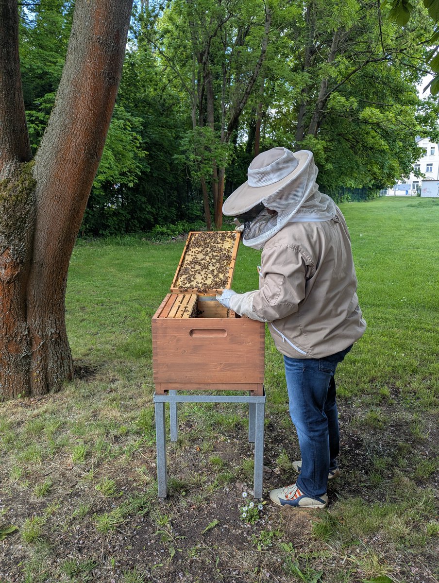 50.000 neue Mitarbeiter für unseren Lebensraum 🐝 

Seit kurzem ist auf dem Udi-Betriebsgelände ein Bienenvolk eingezogen. Sie bestäuben in unserer Umgebung von 4 km täglich Millionen von Blüten. Ein weiterer Beitrag für mehr Nachhaltigkeit.

#bienen #bienenvolk #Nachhaltigkeit