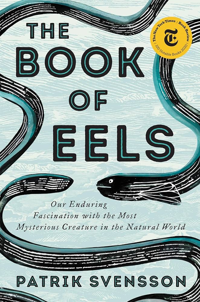 flyerslibrary's tweet image. Hey, @LHSFlyers! Today&apos;s #TuesdayTopic is all about eels, where they came from, and why we&apos;re obsessed with finding the answer. Check out #TheBookOfEels to learn more! #LHSReads #HighSchoolLibrary #LindberghLibraries #Nonfiction
