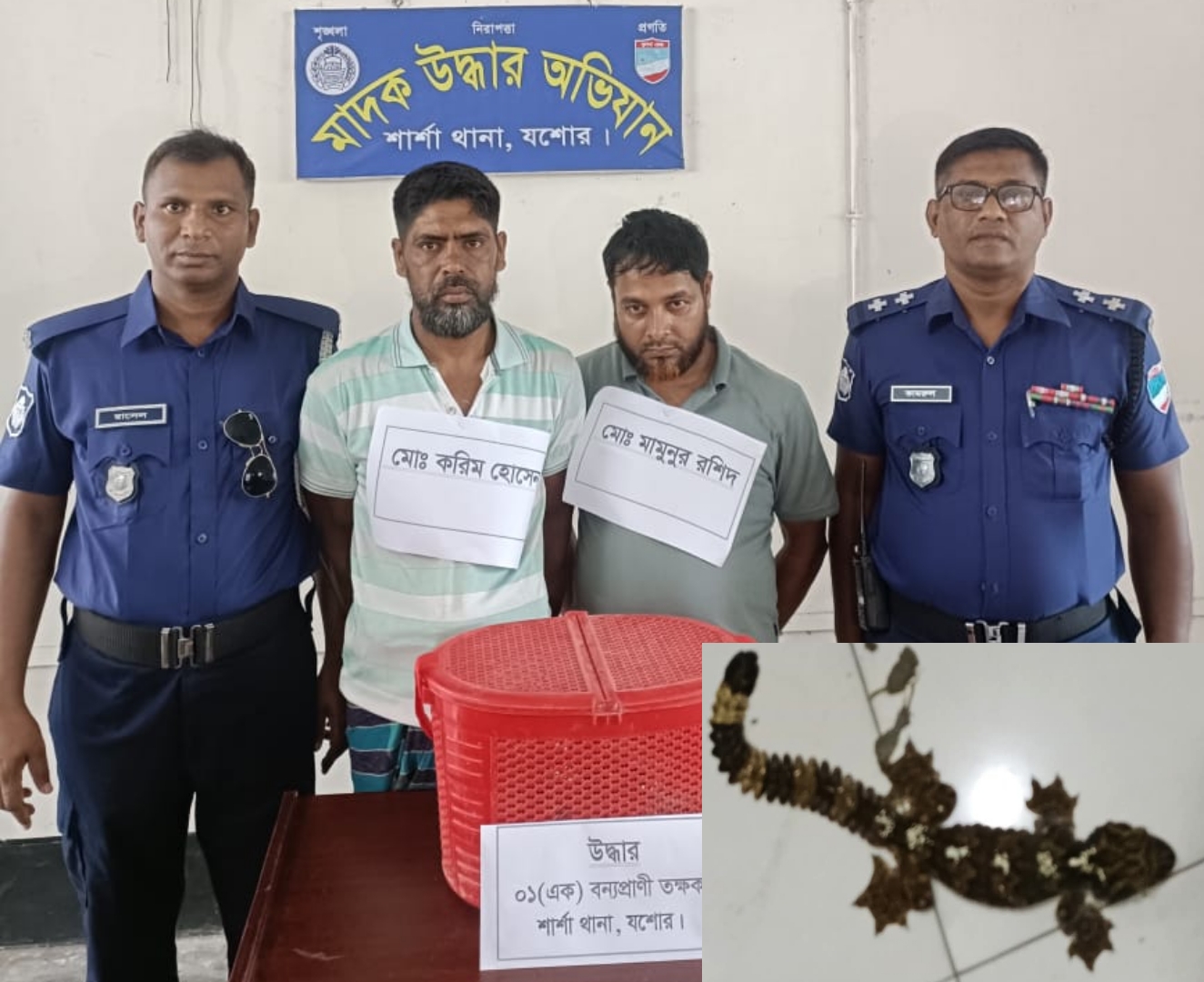 যশোরের শার্শায় বিলুপ্ত তক্ষক সাপসহ দু’পাচারকারী আটক