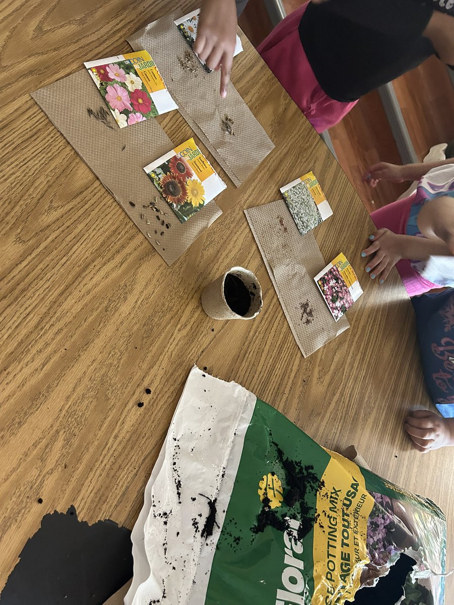 Hands on learning!! Looking at seeds and planting our own flowers!! #vaniervikings