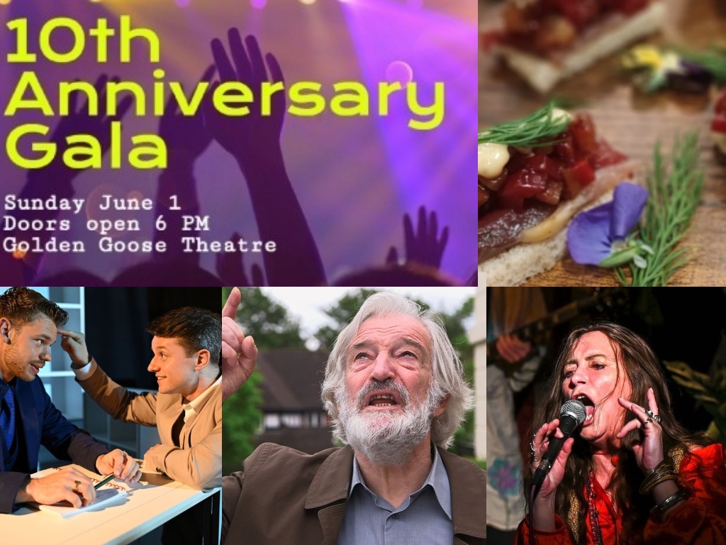 pubtheatres1's tweet photo. Join us for our 10th ANNIVERSARY GALA @GooseTheatre Sunday 1 April

Party and networking
Award winning performances 
Canapes &amp; birthday cake
Auction (theatre related lots to win)

Offer: pair of tickets £50

Programme/Tix https://t.co/NC07FPQLCn https://t.co/VsntpCyPaX