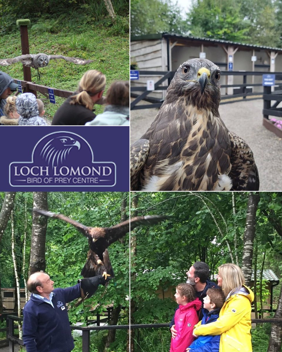 We recently had an incident of someone flying a drone above #LochLomondBirdofPreyCentre disrupting a flying display &amp; distressing the birds. Drones can capture wonderful footage, but safety of visitors &amp; wildlife is our top priority, so please be respectful when using drones here
