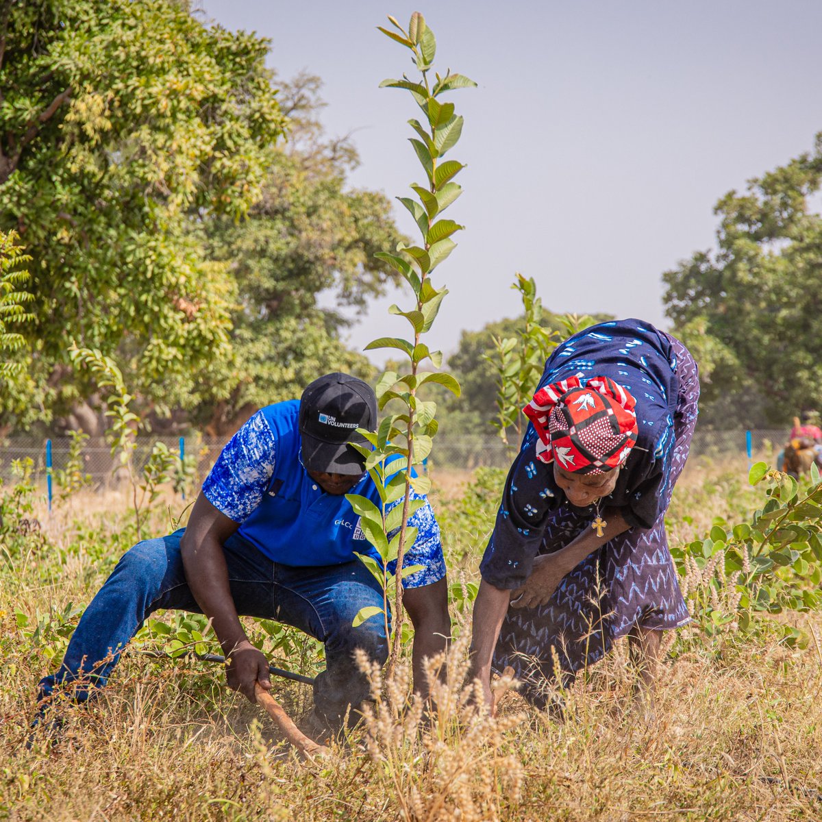 UNV West & Central Africa tweet media