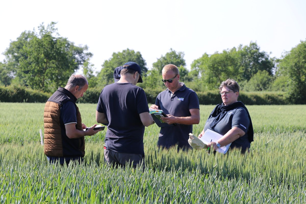 SaatenUnionFr's tweet image. La semaine dernière, l&apos;équipe mise en marché s&apos;est retrouvée sur le terrain lors de notre #CropTour annuel 🌾

Un moment d&apos;échanges privilégié pour affiner notre argumentation autour de nos variétés : SU HORIZON, SU PULSION ou encore SU HYSTORIC seront à suivre en 2025 !