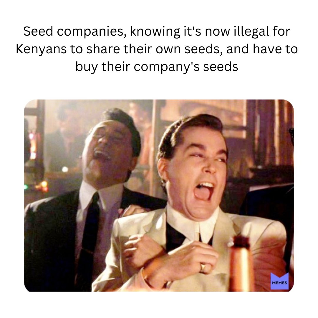 mukurimuturi's tweet photo. End the monopolization of seed systems by multinational seed corporations.
Sign this petition in support of our farmers and their indigenous practices https://t.co/vw90fMsLrc
#SaveOurSeeds https://t.co/TEuWT4KBEZ