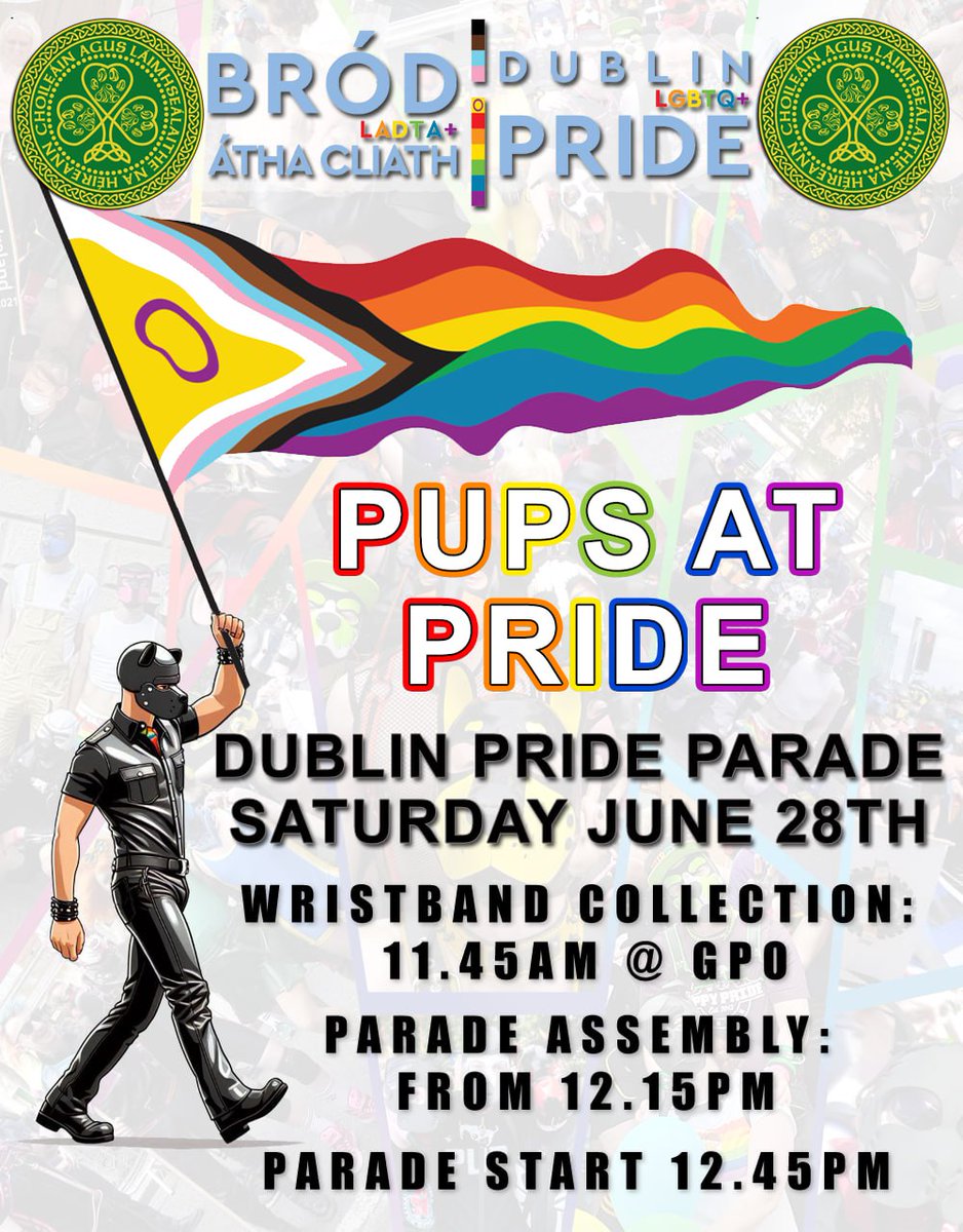 Pups & Handlers Of Ireland tweet media