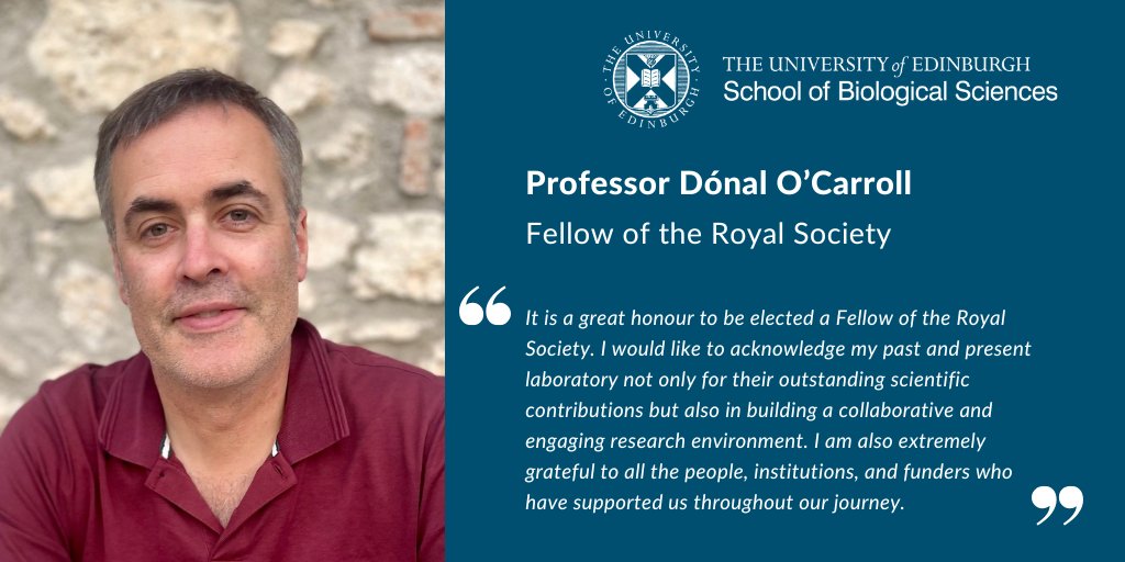 Biological Sciences | University of Edinburgh (@sbsated) on Twitter photo Congratulations to <a href="/CarrollDonal/">Donal O'Carroll</a> who has been elected as a Fellow of the @RoyalSociety 🌟
His research has led to insights into fertility & the complex mechanisms that ensure genetic information is protected as it passes from one generation to the next
➡️edin.ac/43oQUmj Congratulations to <a href="/CarrollDonal/">Donal O'Carroll</a> who has been elected as a Fellow of the @RoyalSociety 🌟
His research has led to insights into fertility & the complex mechanisms that ensure genetic information is protected as it passes from one generation to the next
➡️edin.ac/43oQUmj