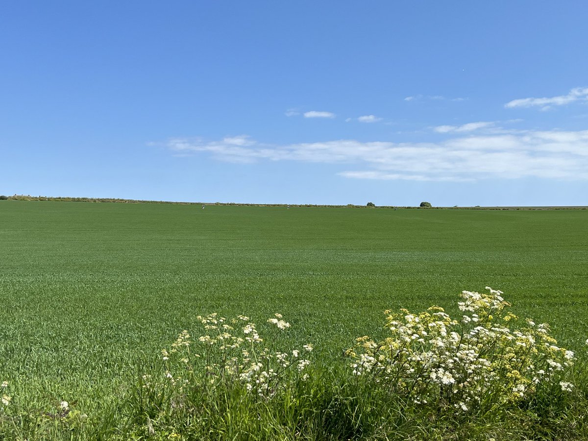 CHSFGDofE's tweet image. Spot our Blue Group on the footpath to the second checkpoint…! 🥾☀️😎