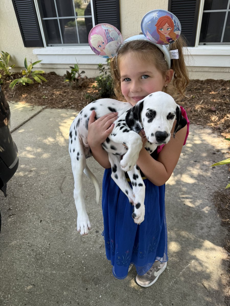 That new puppy feeling, welcome home OREO ♥️ #surgdogs