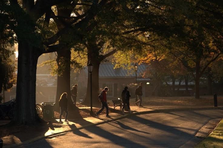 ⠀

       𝐈𝐧𝐬𝐭𝐚𝐠𝐫𝐚𝐦 • 𝙷𝙰𝚕𝚄𝙿𝙳𝙰𝚃𝙴𝙳

       𝙷𝚊𝚕_𝚕𝚊𝚜𝚊𝚗 : Hal from Halden.

      📍 𝒮𝓉.ℋ𝒶𝓁𝒹𝑒𝓃     #HaldenArc

⠀