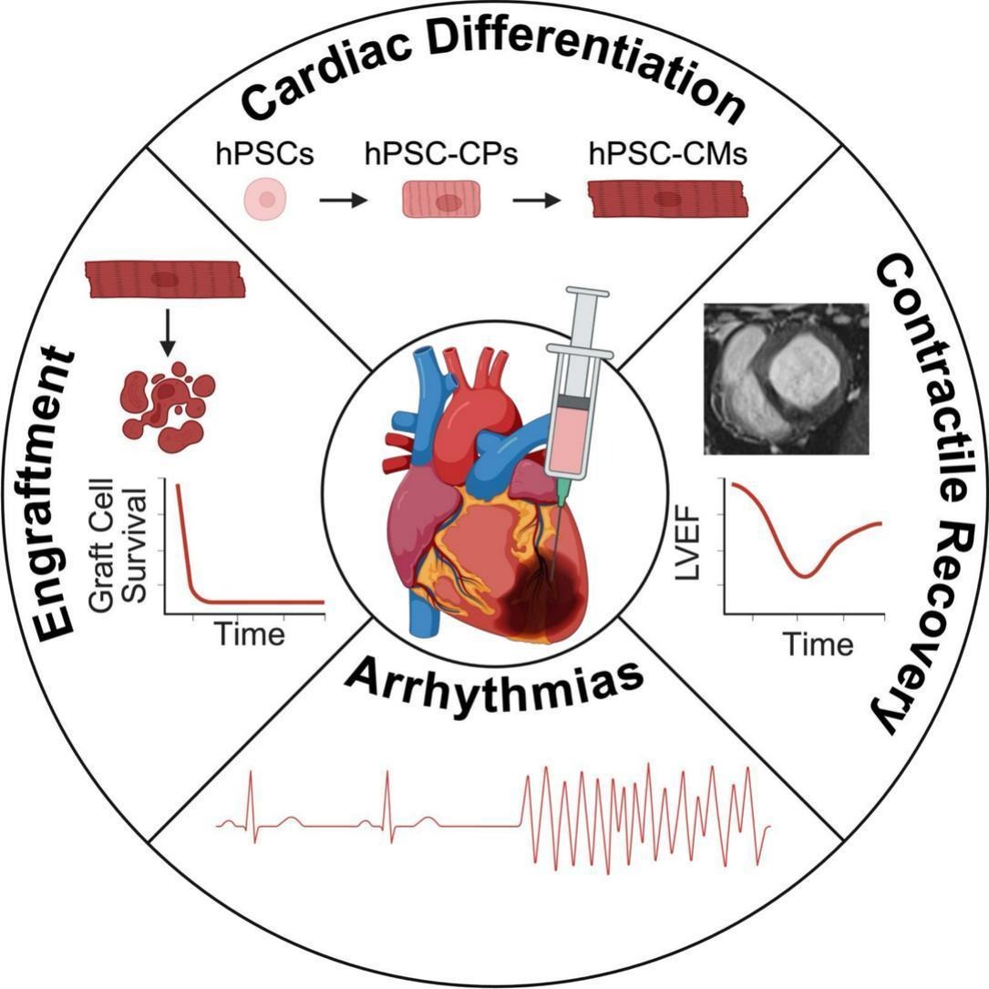 Editors of Advanced Drug Delivery Reviews (@addreditors) on Twitter photo ADDR 50 days' free access: Human Pluripotent Stem Cell-based Cardiac Repair: Lessons Learned and Challenges Ahead.
By Michael A. Laflamme & coworkers <a href="/McEwenInstitute/">McEwen Stem Cell Institute</a>
#StemCell #CardiacRepair
kwnsfk27.r.eu-west-1.awstrack.me/L0/https:%2F%2… ADDR 50 days' free access: Human Pluripotent Stem Cell-based Cardiac Repair: Lessons Learned and Challenges Ahead.
By Michael A. Laflamme & coworkers <a href="/McEwenInstitute/">McEwen Stem Cell Institute</a>
#StemCell #CardiacRepair
kwnsfk27.r.eu-west-1.awstrack.me/L0/https:%2F%2…