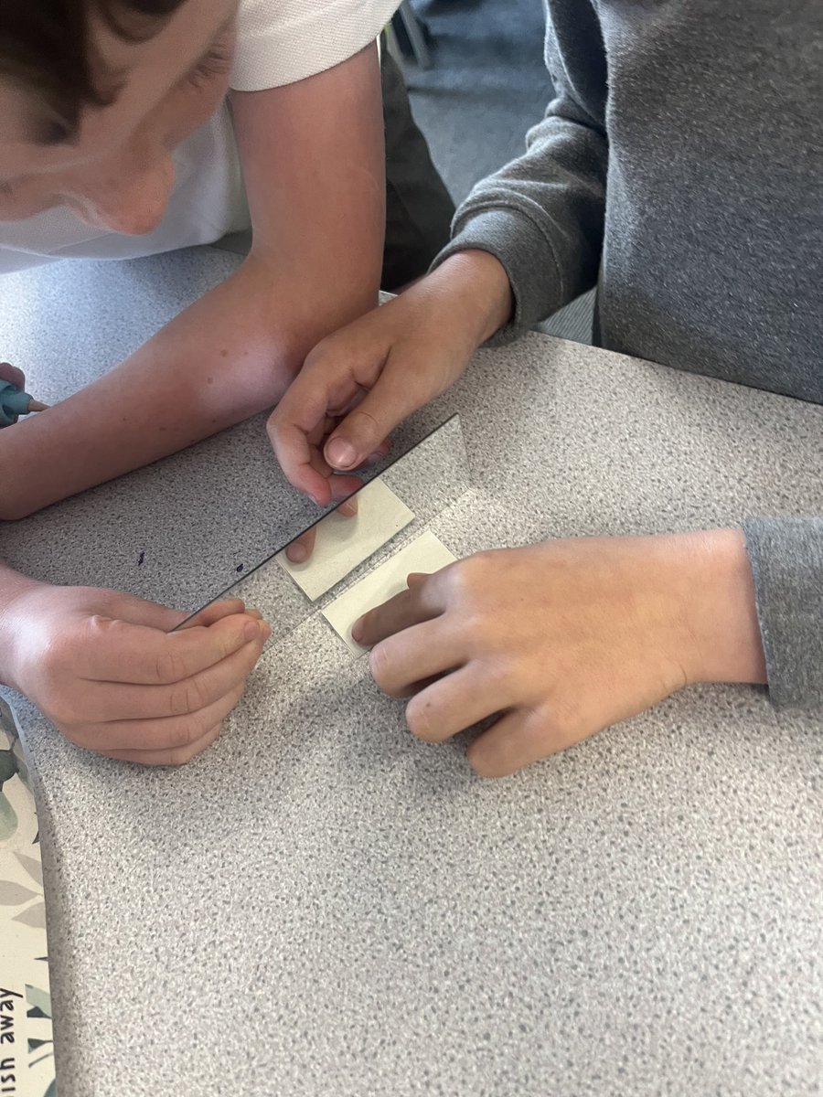 Dee Point Venus tweet media