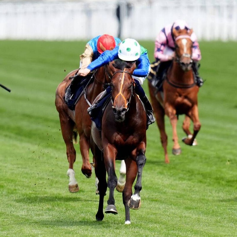 nickluck's tweet photo. "He stacks up against any of the horses I have won a Group One with"

Brian Meehan appears pretty bullish about the chances of RASHABAR in this weekend's Irish 2000 Guineas.

👇