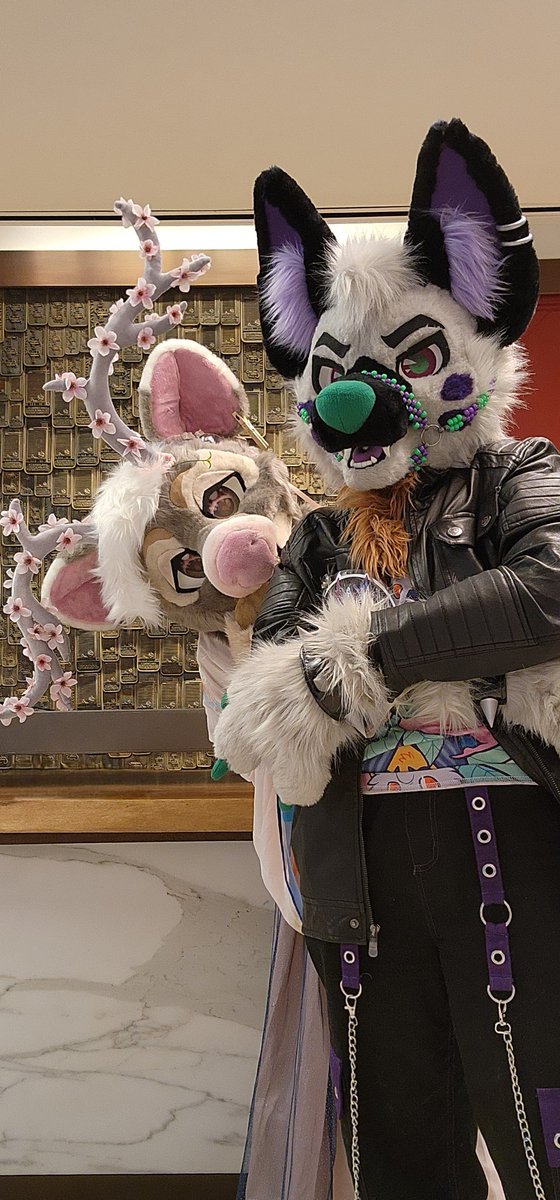 🌸Natsuki Sakura 🎀Home (@natsukisakura_) on Twitter photo 🌸You better be nice or.. or I'll have you bleat up by <a href="/CorgiCc/">💗✨🧁CC The Corgi🧁✨💗</a> 😖
#fursuit #furryfandom 🌸You better be nice or.. or I'll have you bleat up by <a href="/CorgiCc/">💗✨🧁CC The Corgi🧁✨💗</a> 😖
#fursuit #furryfandom