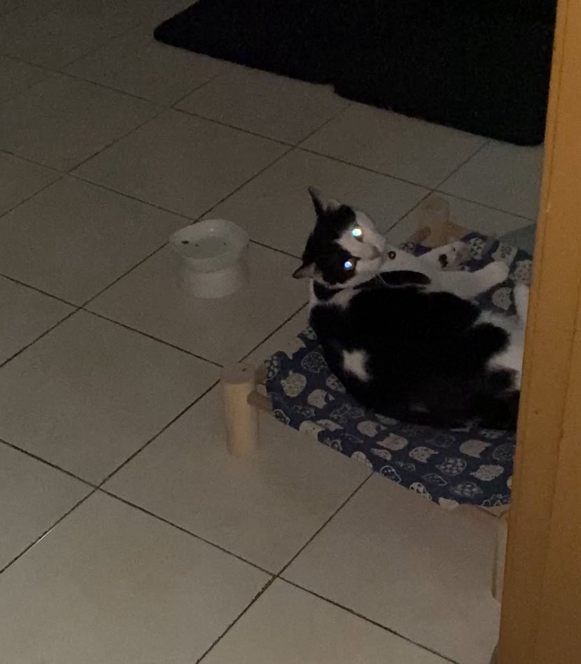 “Nape eh.” - yoyo