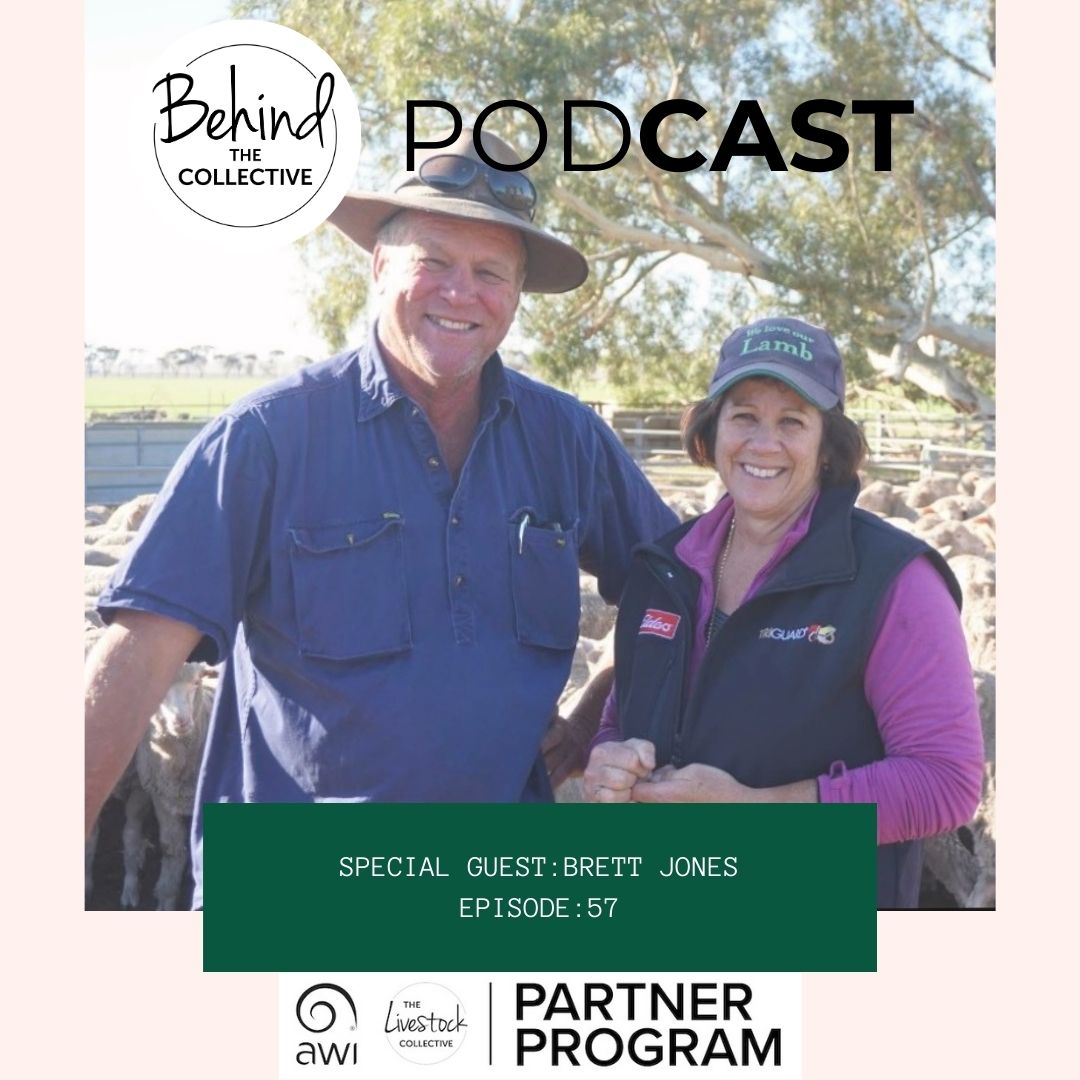 This week on the podcast 🎙️- part of the TLC/AWI Partner Program - we chat with Brett Jones of Ejanding Merino Stud about his farming journey, Merinos in his business, and... his pet crow 🐦

Listen now 👉 loom.ly/24_-aMo
