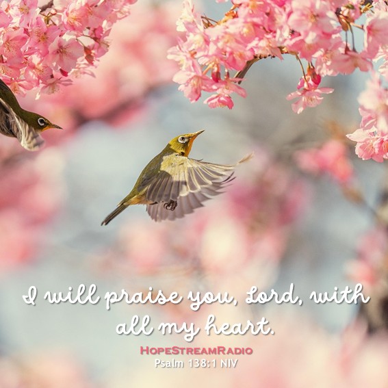 HopeStreamRadio's tweet photo. #dailyverse #versefortoday #hopestreamradio #Psalm138v1 #praise #Iwillpraiseyou #allmyheart #worship #singpraises https://t.co/VGn4JiLWXX