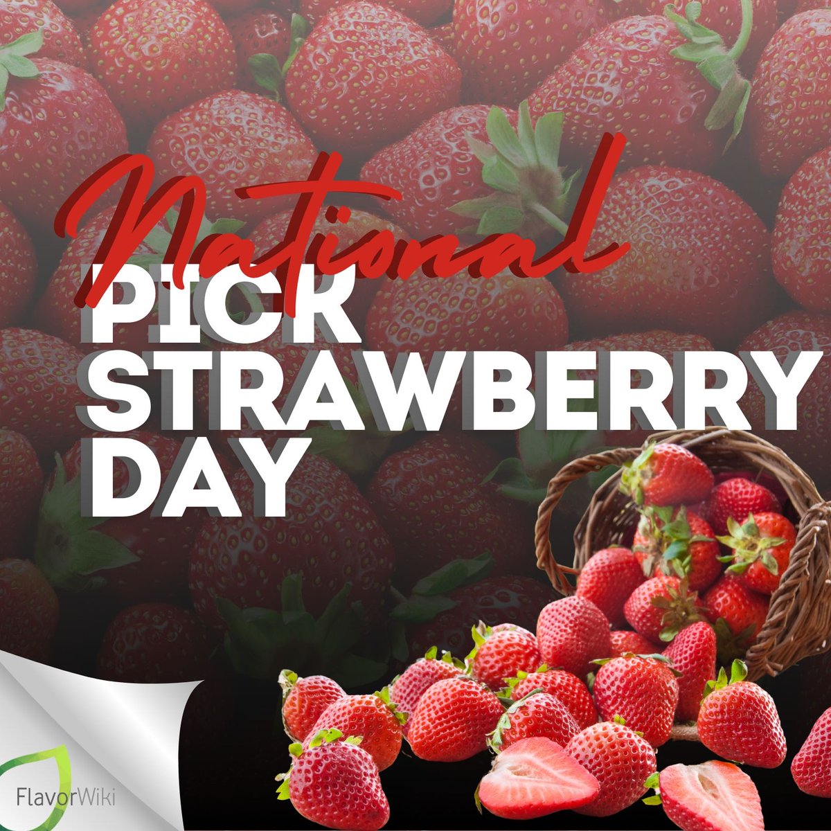 FlavorWiki's tweet image. 🍓 Happy Pick Strawberries Day! 🌱Enjoy the simple joy of picking fresh strawberries and connecting with nature. It’s the perfect way to slow down, unplug, and savor life’s sweetest moments.

#FlavorWiki #PickStrawberriesDay #FreshAndSimple #NatureLovers