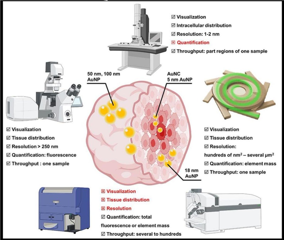Editors of Advanced Drug Delivery Reviews (@addreditors) on Twitter photo ADDR Open Access: Size-dependent penetration depth of colloidal nanoparticles into cell spheroids.
By Wolfgang J. Parak & coworkers, Univ. of Hamburg <a href="/CRS_DeChAt_LC/">Controlled Release Society - GerChAt Chapter</a>
#GoldNanoparticle #size #spheroid #penetration
kwnsfk27.r.eu-west-1.awstrack.me/L0/https:%2F%2… ADDR Open Access: Size-dependent penetration depth of colloidal nanoparticles into cell spheroids.
By Wolfgang J. Parak & coworkers, Univ. of Hamburg <a href="/CRS_DeChAt_LC/">Controlled Release Society - GerChAt Chapter</a>
#GoldNanoparticle #size #spheroid #penetration
kwnsfk27.r.eu-west-1.awstrack.me/L0/https:%2F%2…