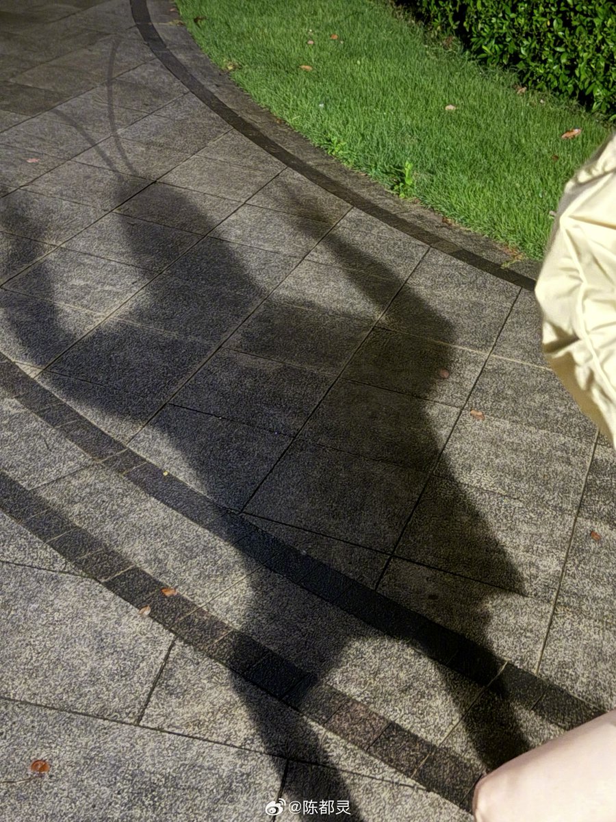 ₍ ᐢ..ᐢ₎ for chen duling tweet media