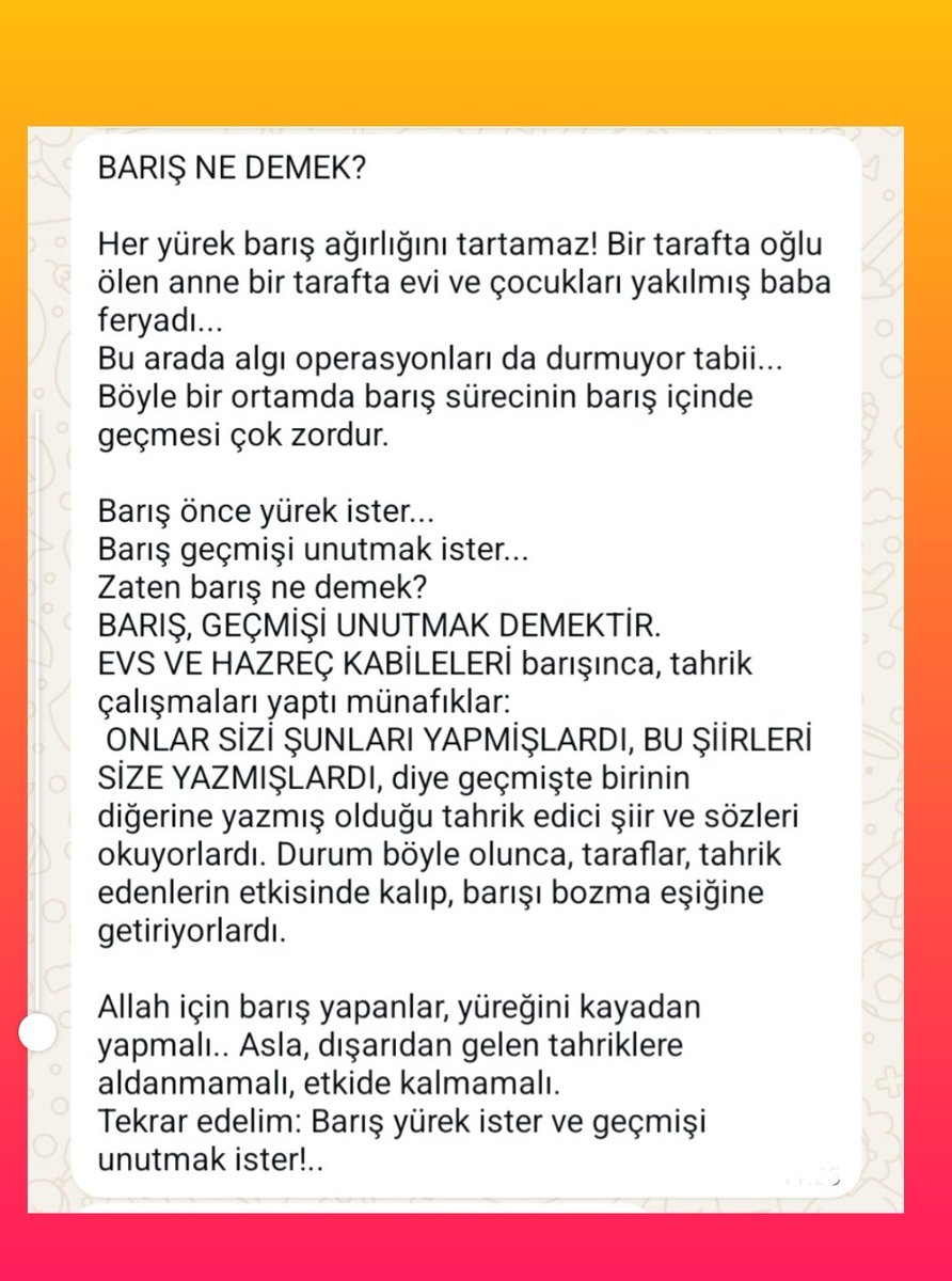 emine şenlikoğlu tweet media