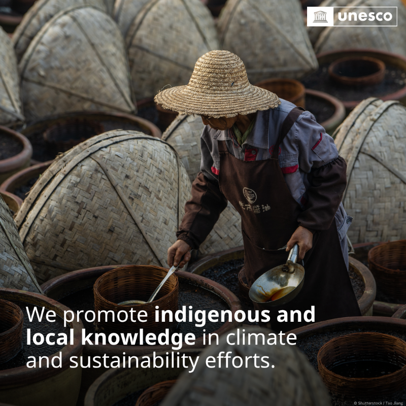 UNESCO's tweet photo. The “S” in UNESCO stands for science — a core part of our work and a powerful tool to build a more sustainable world.

Swipe to see how we use science for impact! 👉