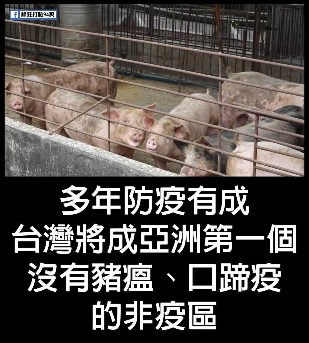 Lelechen945's tweet photo. 台灣的驕傲❤️

新聞連結：
https://t.co/1CmBkYlM1h https://t.co/WBil3c6tOD