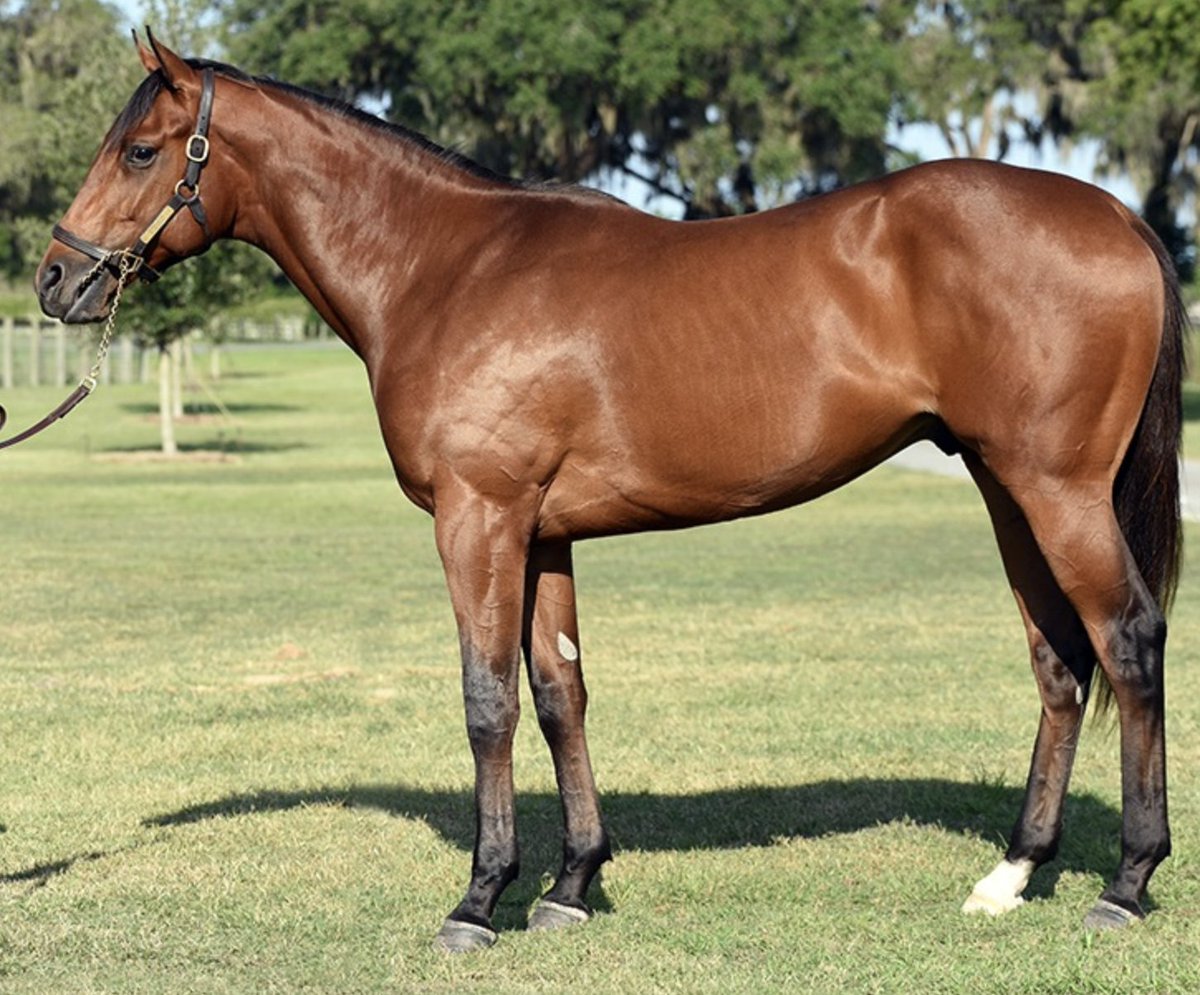 Michael Adolphson tweet media