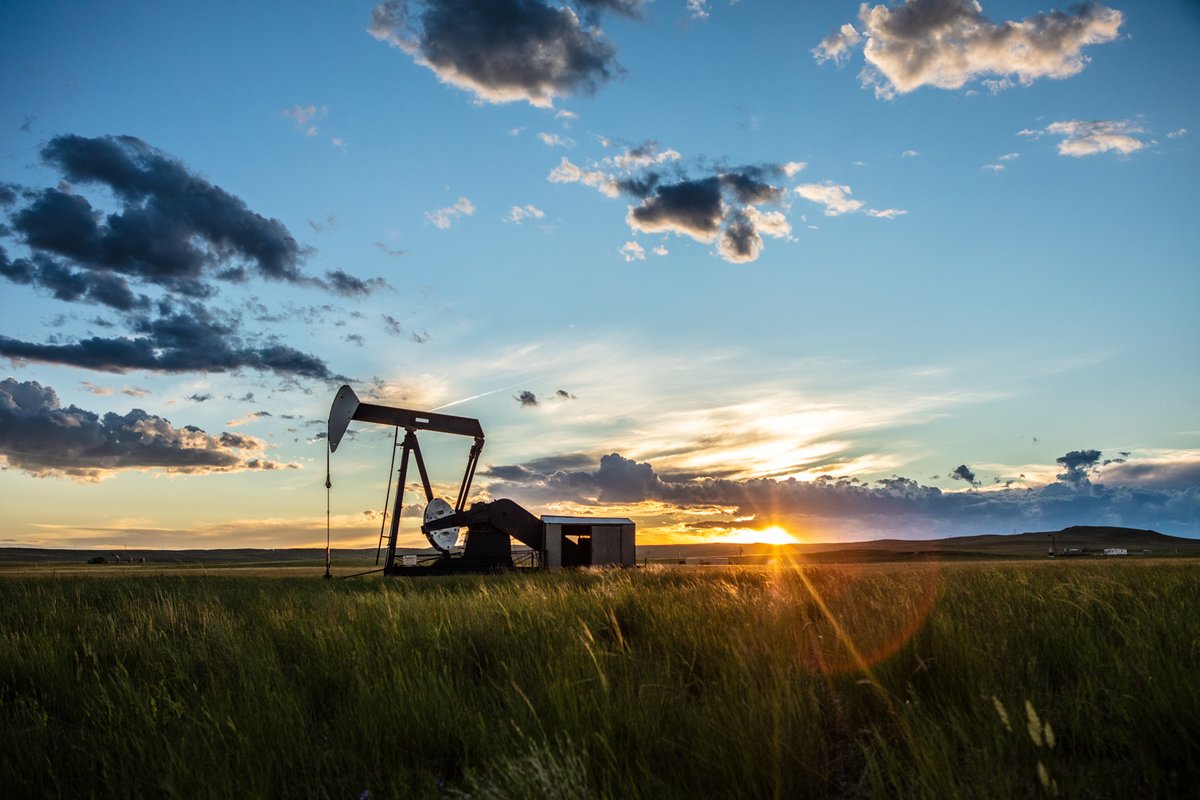 Matthew Idler Photo tweet media