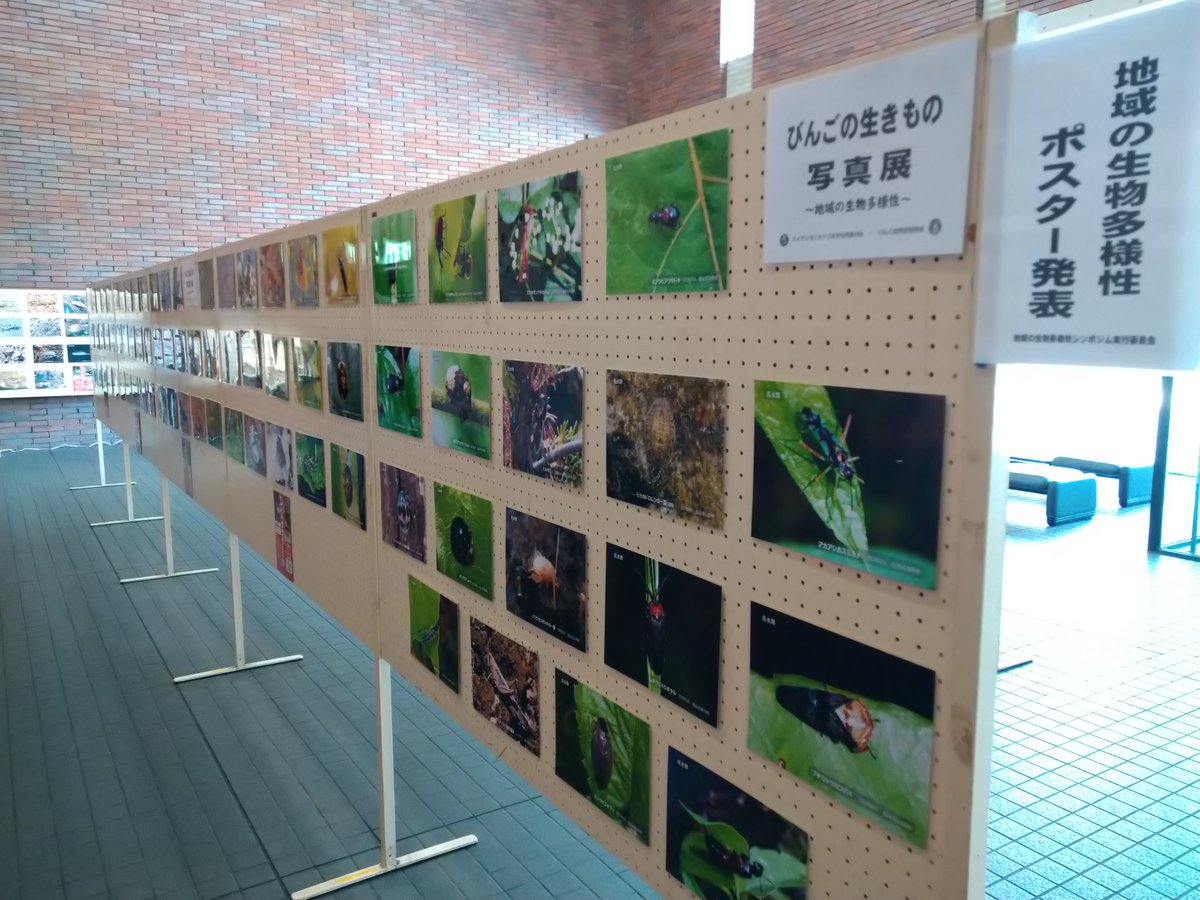 地域の生物多様性シンポジウム実行委員会 tweet media