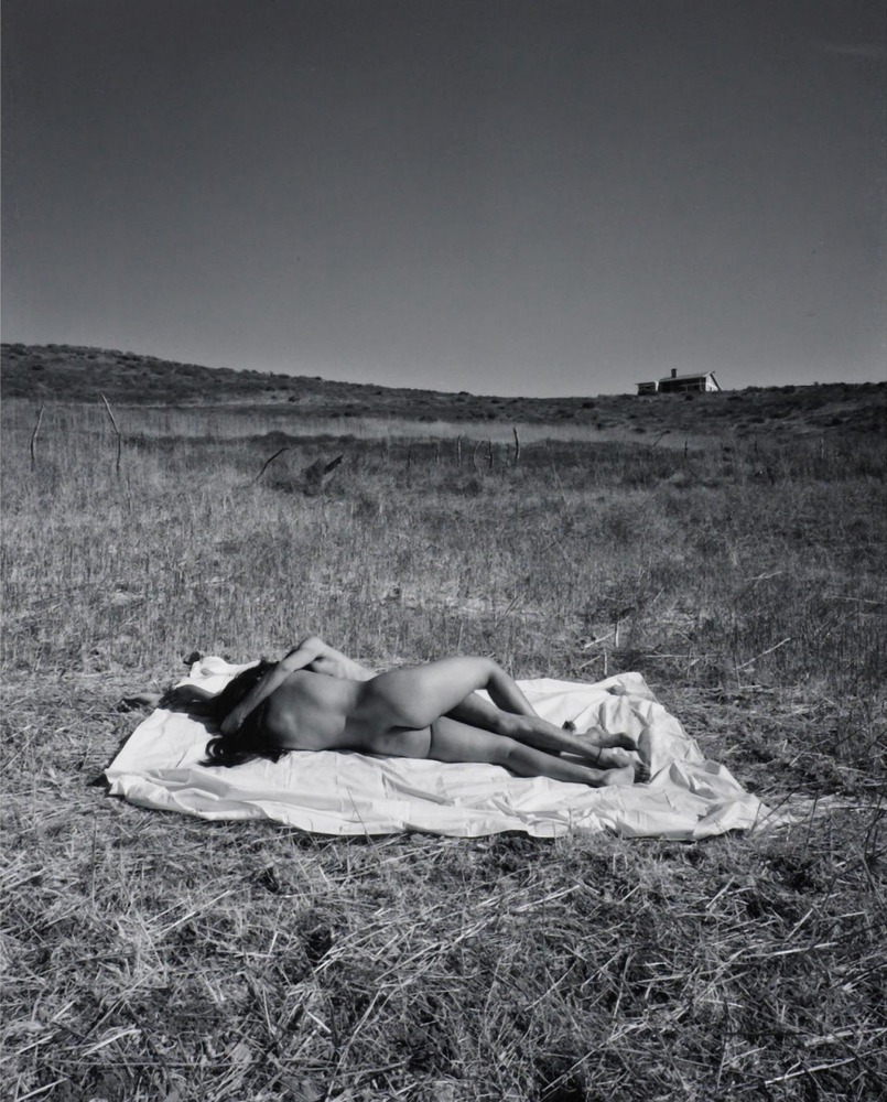 📸 Alphabet for adults and beyond - Magazine tweet media