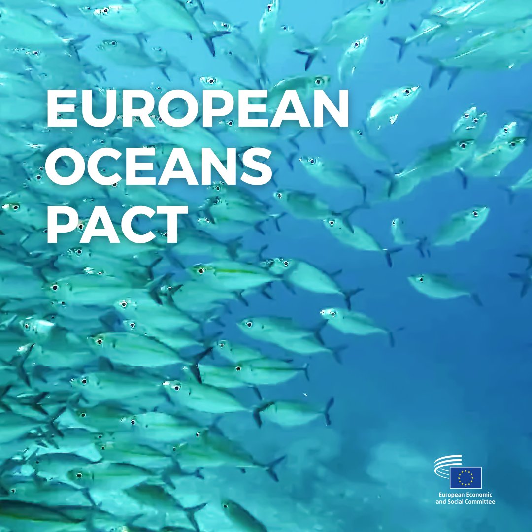EESC Sustainable Development_nat-eesc.bsky.social (@eesc_nat) on Twitter photo Today our member <a href="/garat_javier/">Javier Garat</a> participated in the <a href="/EP_Fisheries/">PECH Committee Press</a> meeting to present our recent opinion on the #EUOceansPact & called for:
💧Smart regulations & investment
💧Biodiversity & food security
💧Support workers & coastal regions
Check it out👉europa.eu/!RPMFYf Today our member <a href="/garat_javier/">Javier Garat</a> participated in the <a href="/EP_Fisheries/">PECH Committee Press</a> meeting to present our recent opinion on the #EUOceansPact & called for:
💧Smart regulations & investment
💧Biodiversity & food security
💧Support workers & coastal regions
Check it out👉europa.eu/!RPMFYf