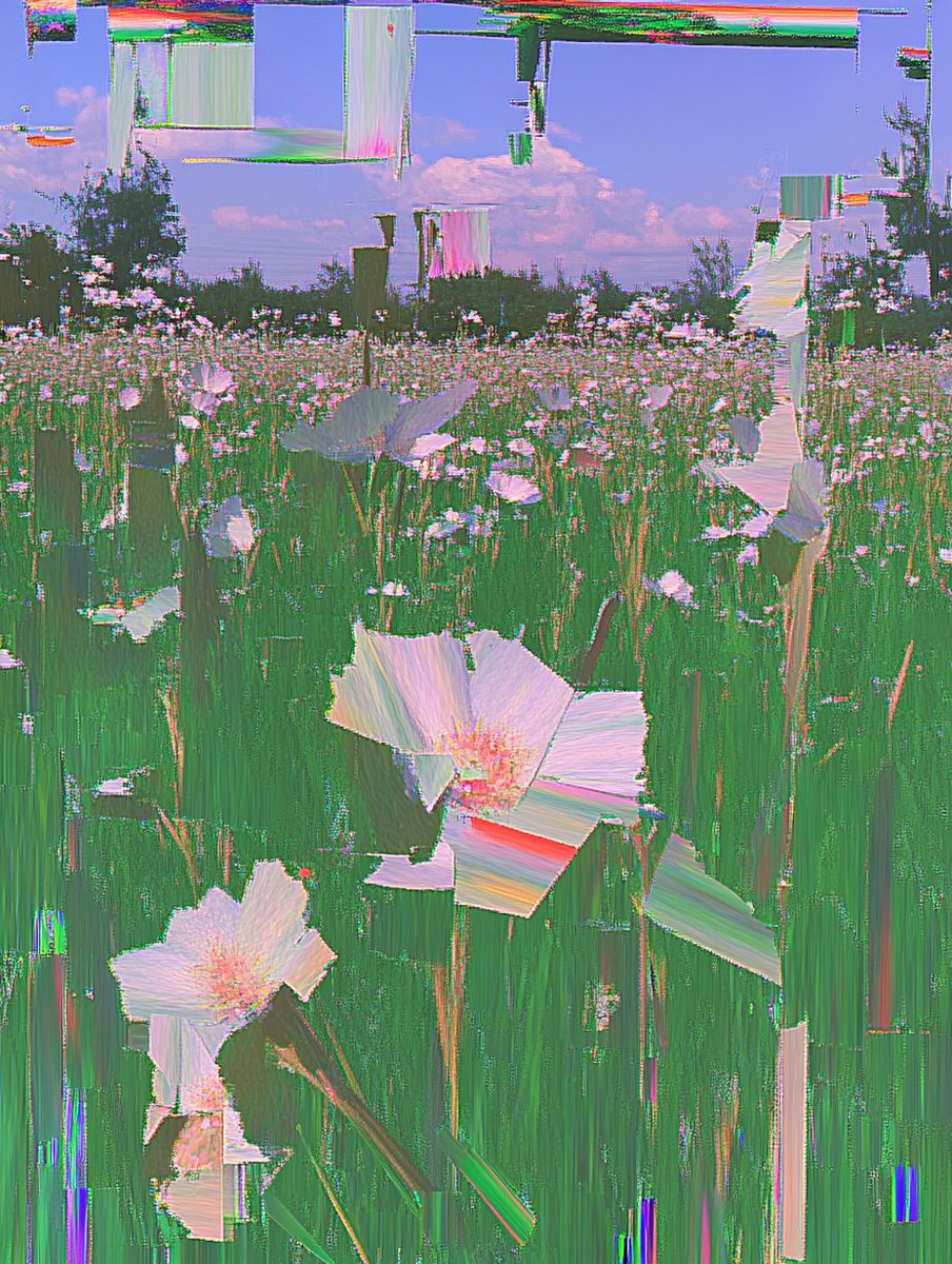 palekirill's tweet photo. soft scroll please https://t.co/ai18H7sAWa