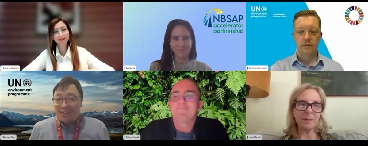 Cool Coalition tweet media