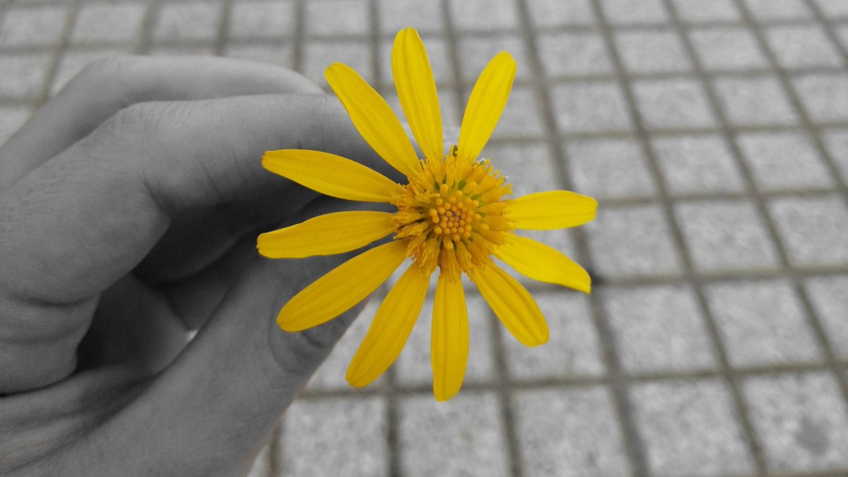 Óptica Guzmán (@guzmanoptica) on Twitter photo 