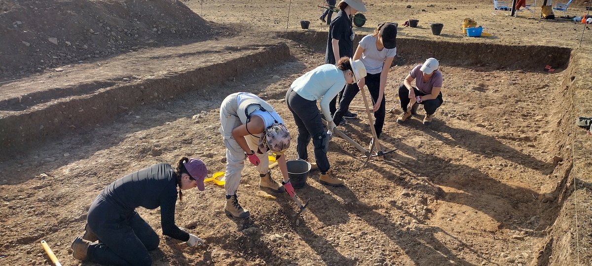 Archeo - Attualità del passato tweet media