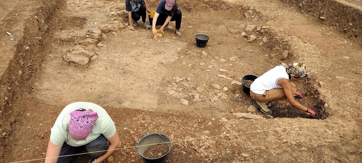 Archeo - Attualità del passato tweet media