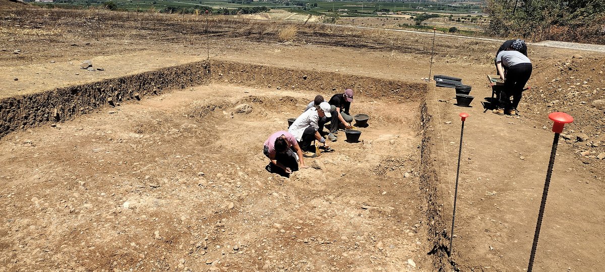 Archeo - Attualità del passato tweet media